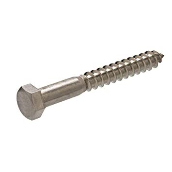 SS Hex Lag Screw in Hungary