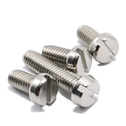 Stainless Steel Cheese Head Machine Screw in Agra
